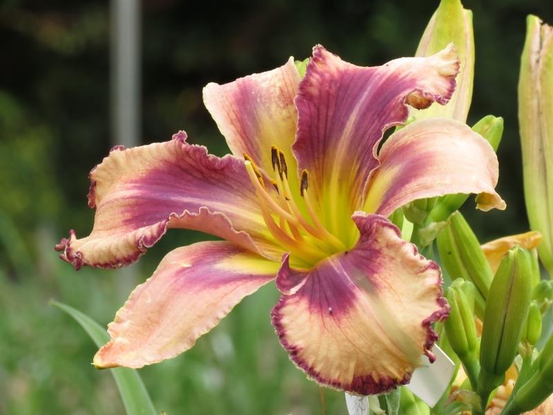 River Walks and Lattes