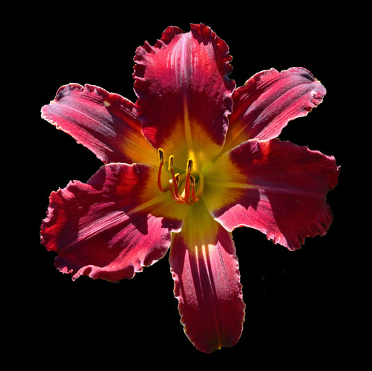 Energizing Passion